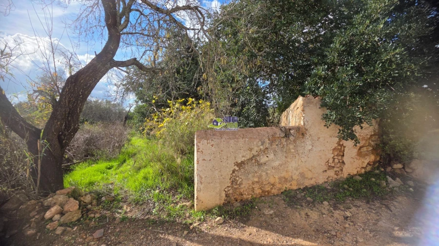 Moradia T2 para Venda em São Bartolomeu de Messines Foto 13