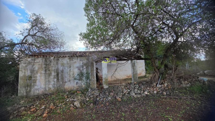 Moradia T2 para Venda em São Bartolomeu de Messines Foto 4