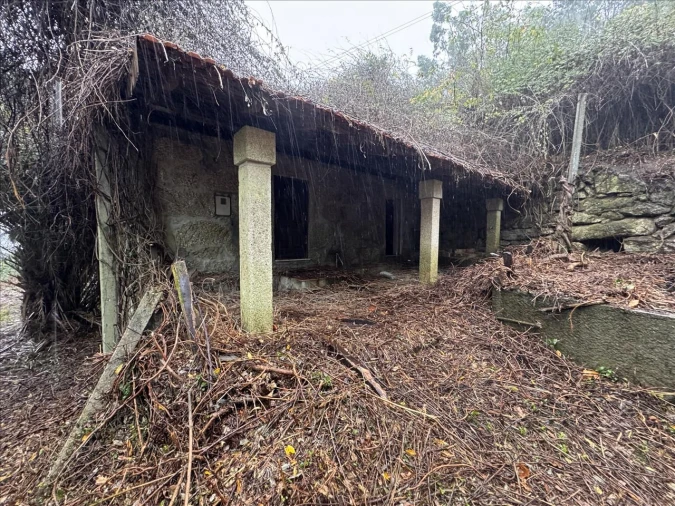 Moradia T2 para Venda em Moimenta Foto 3