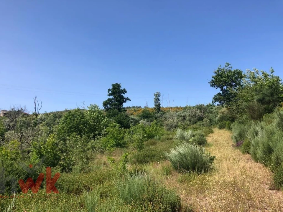 Moradia T2 para Venda em Covas e Vila Nova de Oliveirinha Foto 3