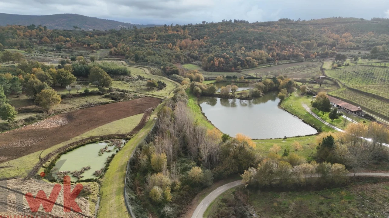 Moradia T3 para Venda em Torrozelo e Folhadosa Foto 25