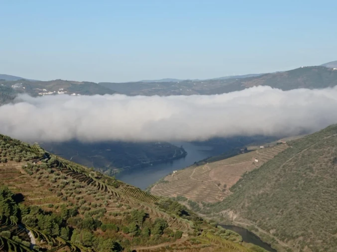 Moradia T8 para Venda em Valença do Douro Foto 14