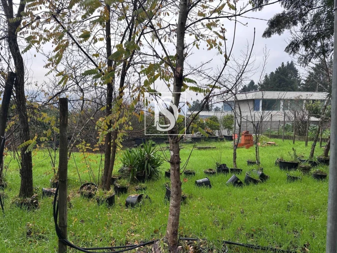 Moradia T3 para Venda em Amarante (São Gonçalo), Madalena, Cepelos e Gatão Foto 14