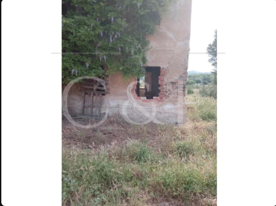 Quinta T2 para Venda em Abrantes (São Vicente e São João) e Alferrarede Foto 5