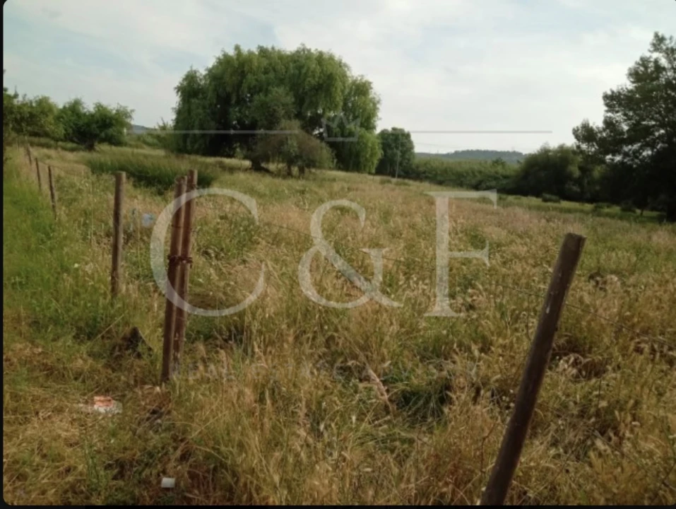 Quinta T2 para Venda em Abrantes (São Vicente e São João) e Alferrarede Foto 8