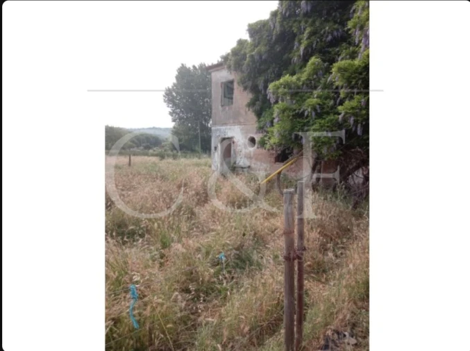 Quinta T2 para Venda em Abrantes (São Vicente e São João) e Alferrarede Foto 4