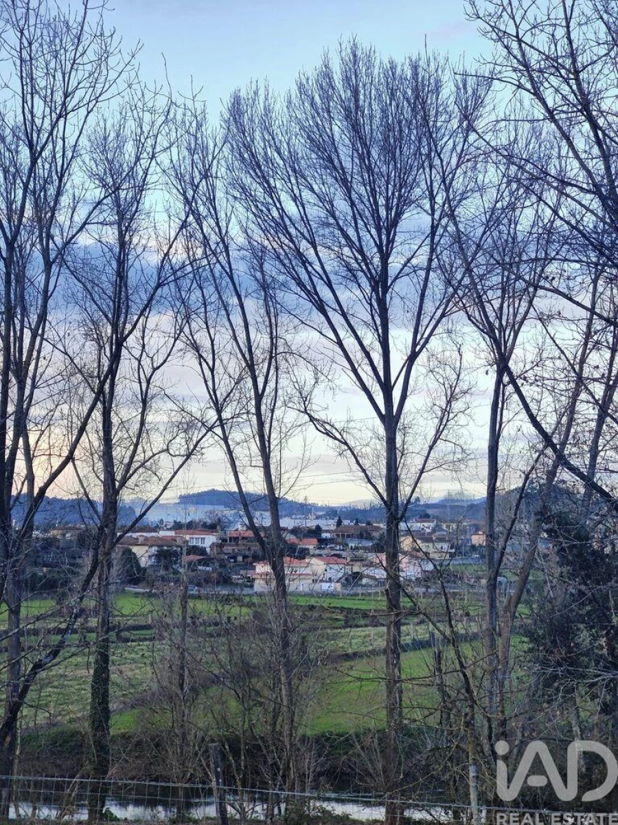 Terreno para Venda em Bougado (São Martinho e Santiago) Foto 5
