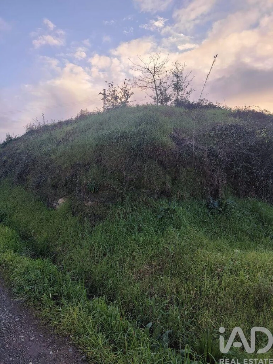 Terreno para Venda em Bougado (São Martinho e Santiago) Foto 8