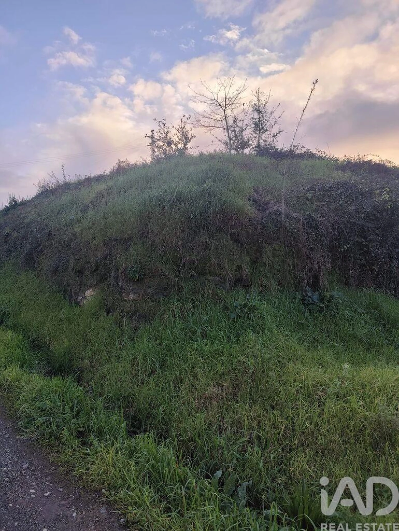 Terreno para Venda em Bougado (São Martinho e Santiago) Foto 8