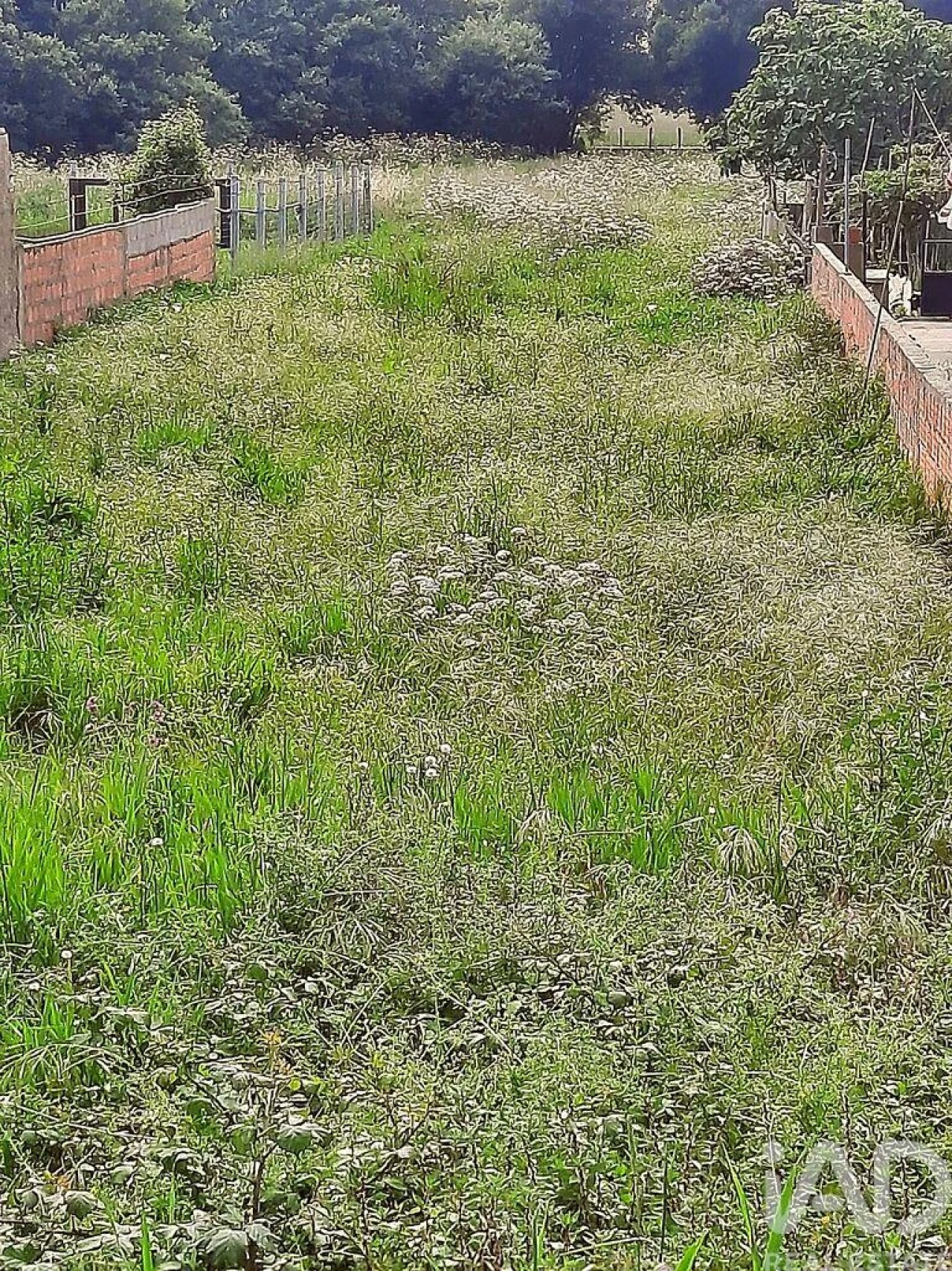 Terreno para Venda em Paramos Foto 4