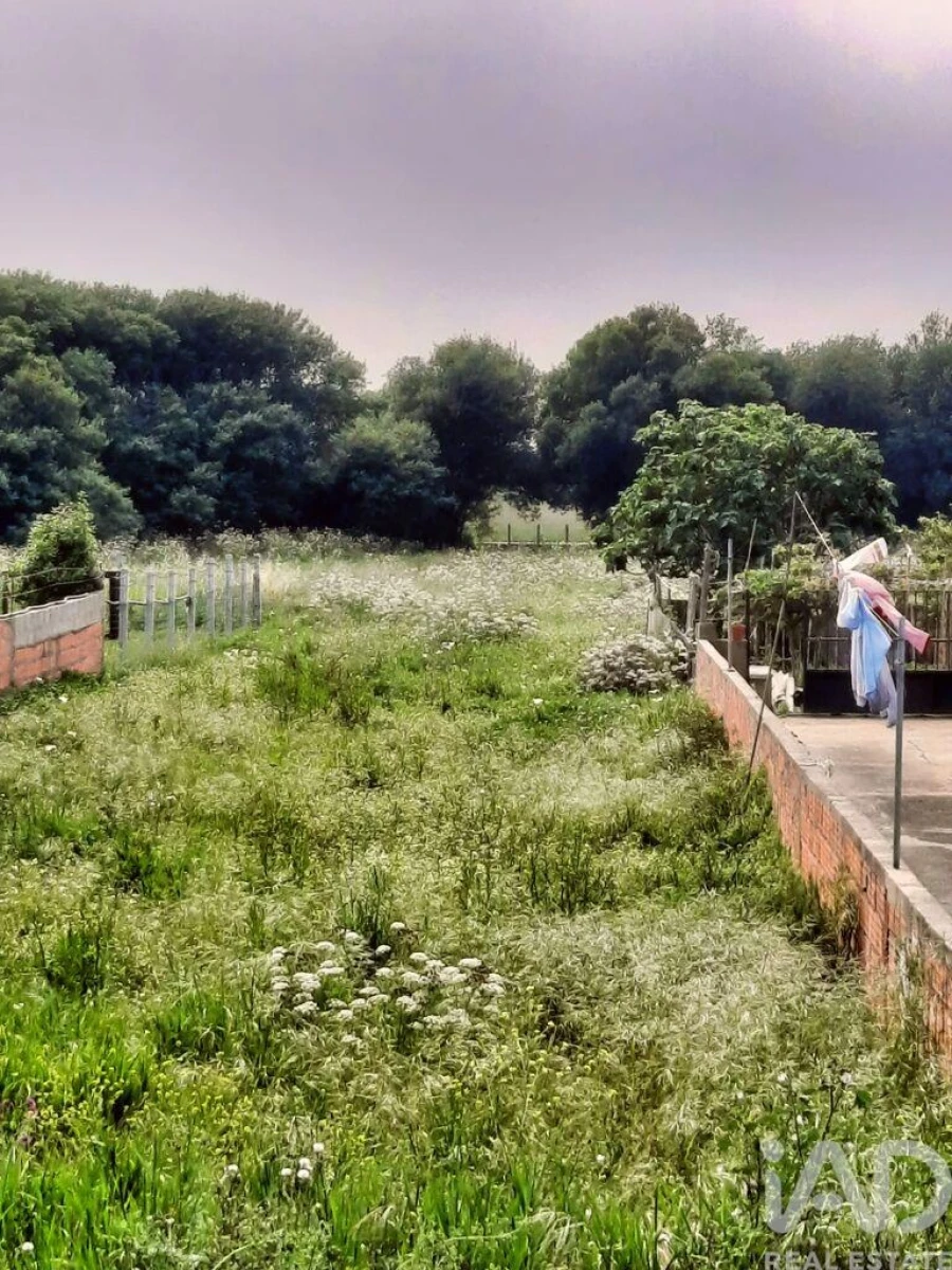 Terreno para Venda em Paramos Foto 3