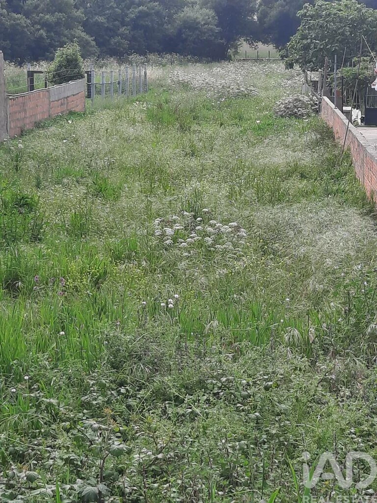 Terreno para Venda em Paramos Foto 8