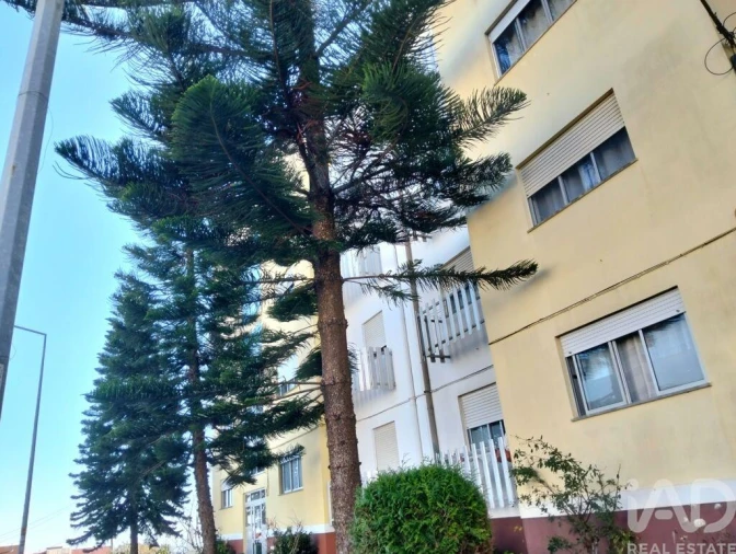 Apartamento T3 para Venda em Camarate, Unhos e Apelação Foto 19