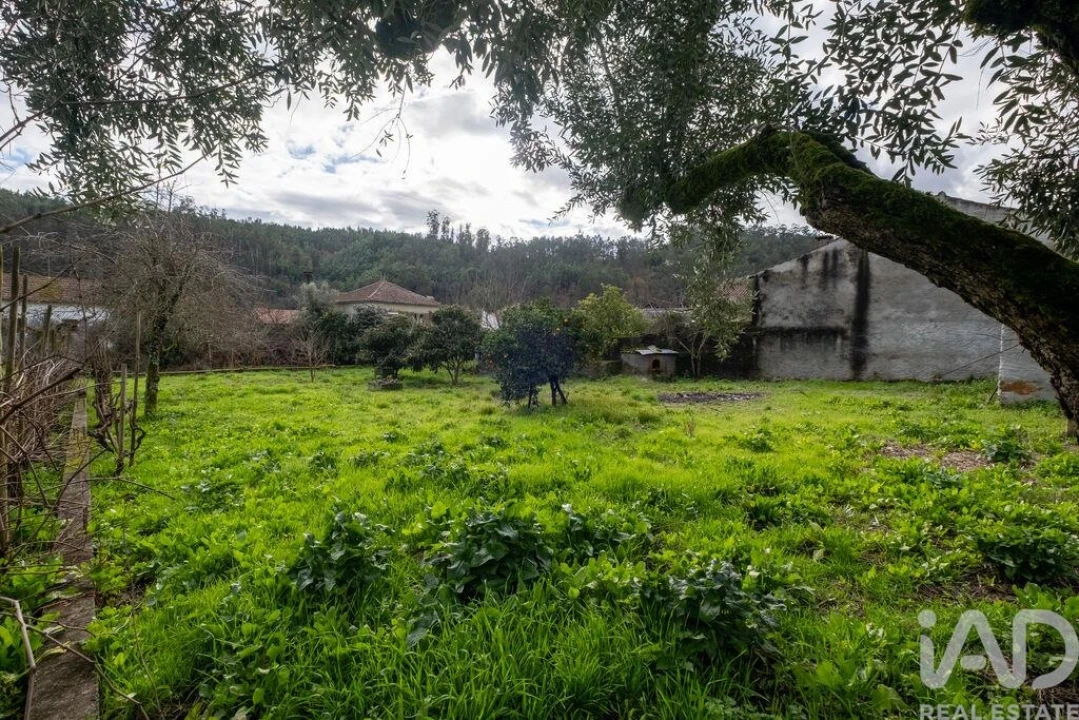 Moradia T3 para Venda em Penacova Foto 4