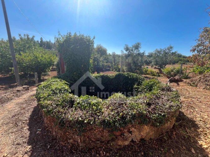 Moradia T1 para Venda em Figueiró dos Vinhos e Bairradas Foto 6