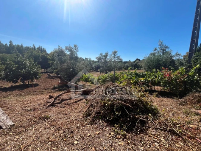 Moradia T1 para Venda em Figueiró dos Vinhos e Bairradas Foto 10