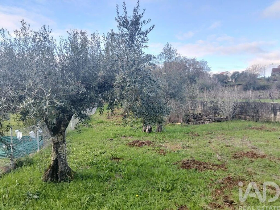 Terreno para Venda em Chãos Foto 7