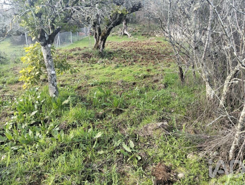 Terreno para Venda em Chãos Foto 5
