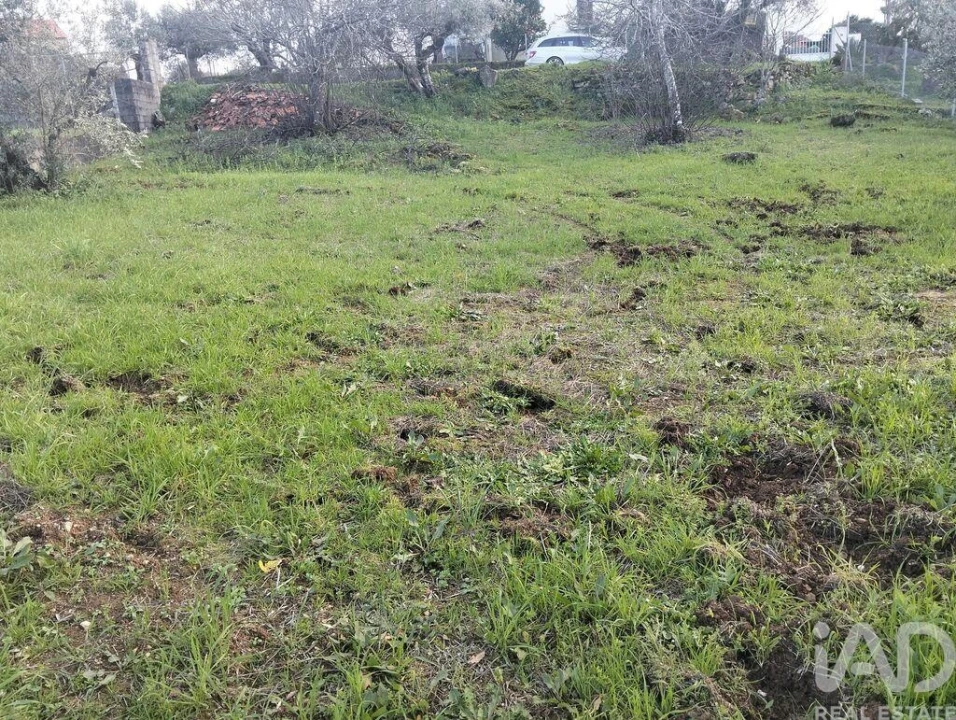 Terreno para Venda em Chãos Foto 9