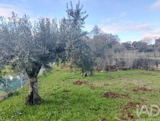 Terreno para Venda em Chãos Foto 7