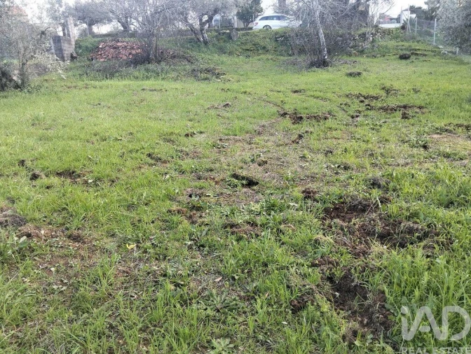 Terreno para Venda em Chãos Foto 10