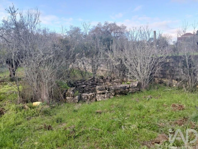 Terreno para Venda em Chãos Foto 2