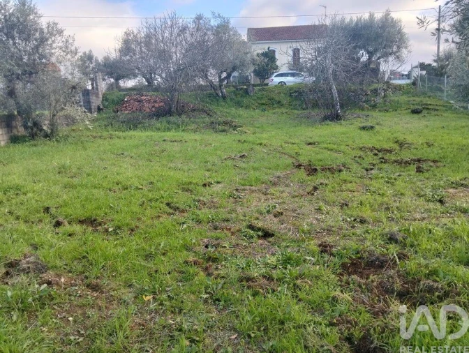 Terreno para Venda em Chãos Foto 11
