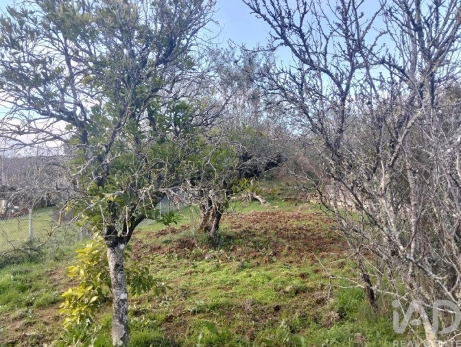Terreno para Venda em Chãos Foto 6