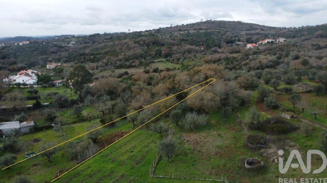 Terreno para Venda em Chãos Foto 15