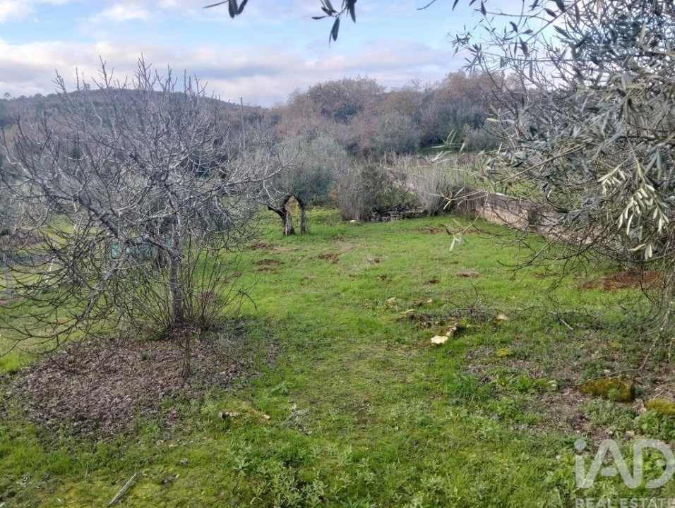 Terreno para Venda em Chãos Foto 4