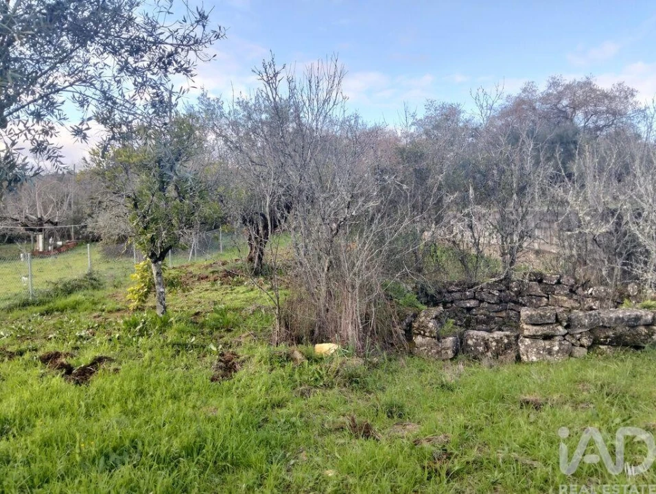 Terreno para Venda em Chãos Foto 1
