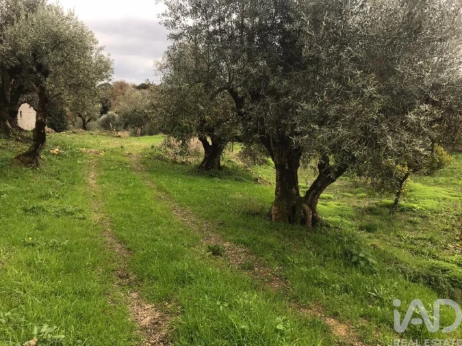 Moradia T2 para Venda em Chãos Foto 38