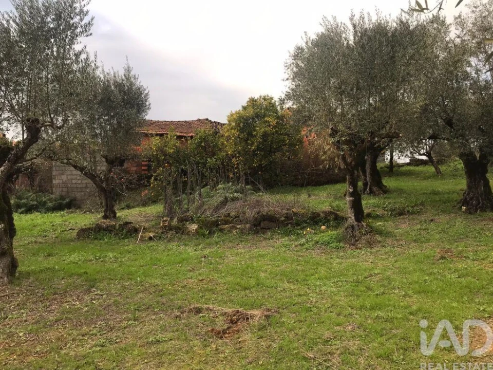 Moradia T2 para Venda em Chãos Foto 39