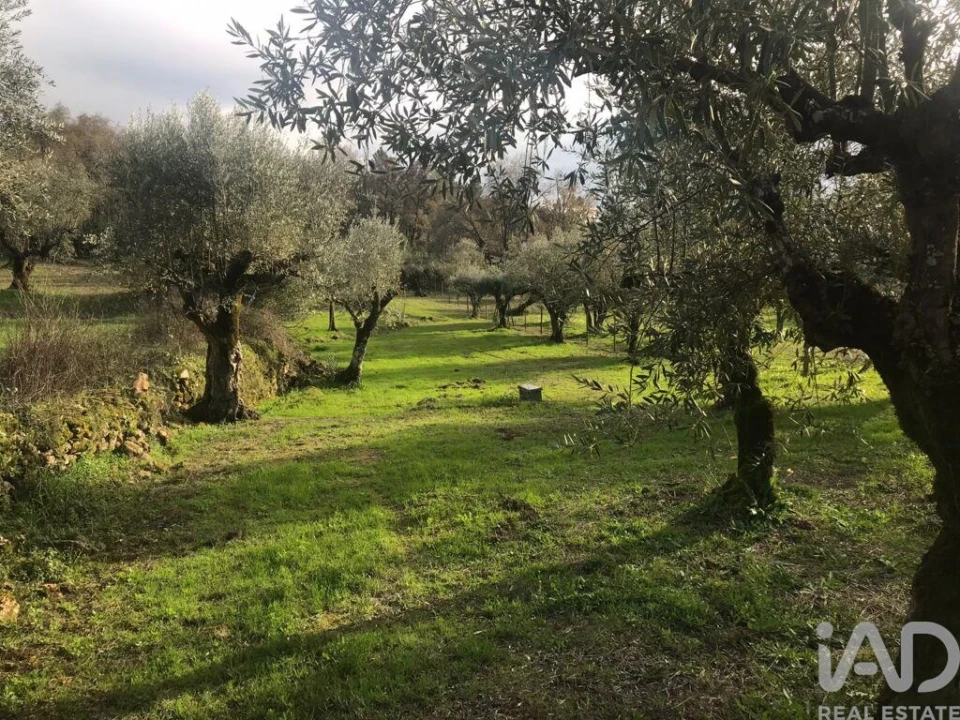 Moradia T2 para Venda em Chãos Foto 37