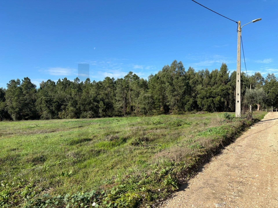Terreno para Venda em Olalhas Foto 12