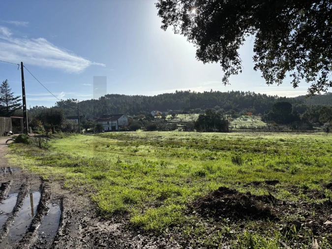 Terreno para Venda em Olalhas Foto 7
