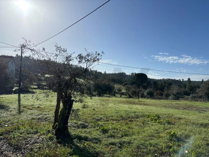 Terreno para Venda em Olalhas Foto 13