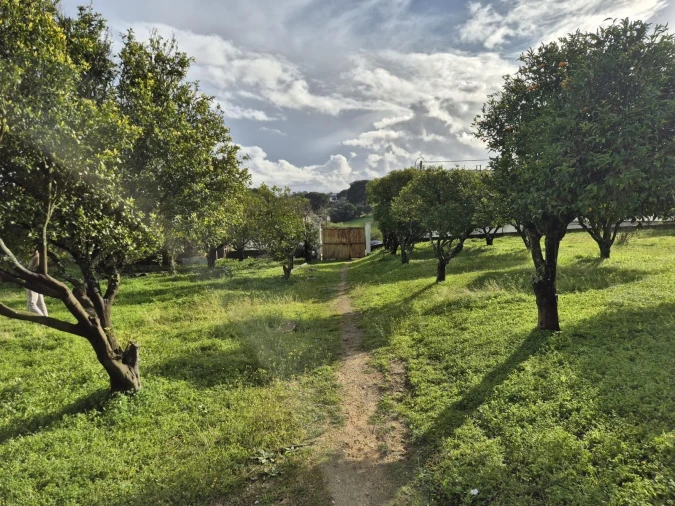 Terreno para Venda em Charneca de Caparica e Sobreda Foto 2