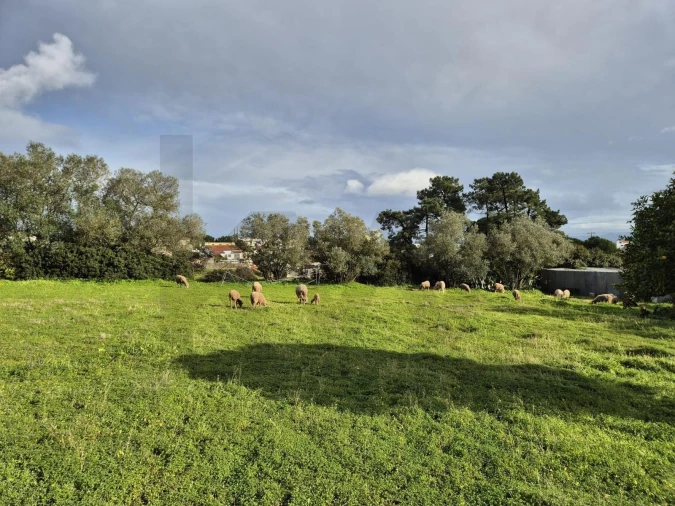 Terreno para Venda em Charneca de Caparica e Sobreda Foto 4