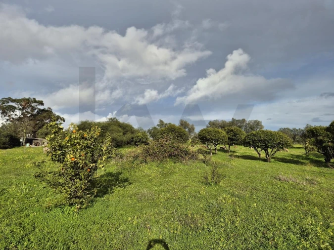 Terreno para Venda em Charneca de Caparica e Sobreda Foto 3