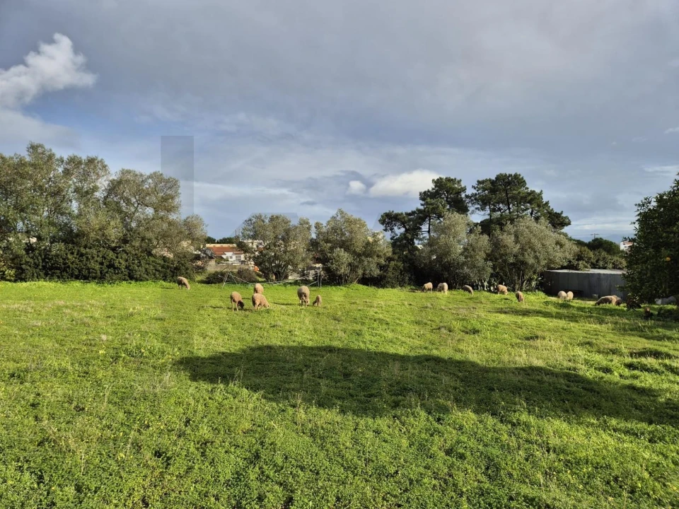 Terreno para Venda em Charneca de Caparica e Sobreda Foto 4