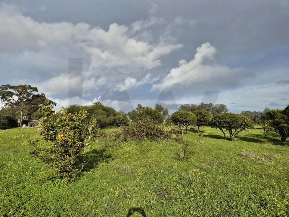 Terreno para Venda em Charneca de Caparica e Sobreda Foto 3