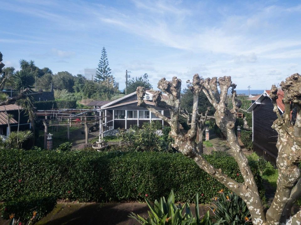 Prédio para Venda em Ribeira Seca Foto 16