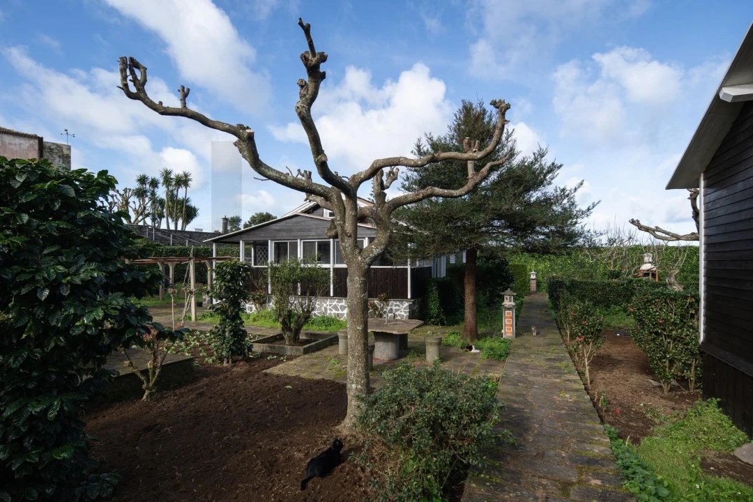 Prédio para Venda em Ribeira Seca Foto 27
