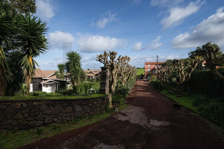 Prédio para Venda em Ribeira Seca Foto 30