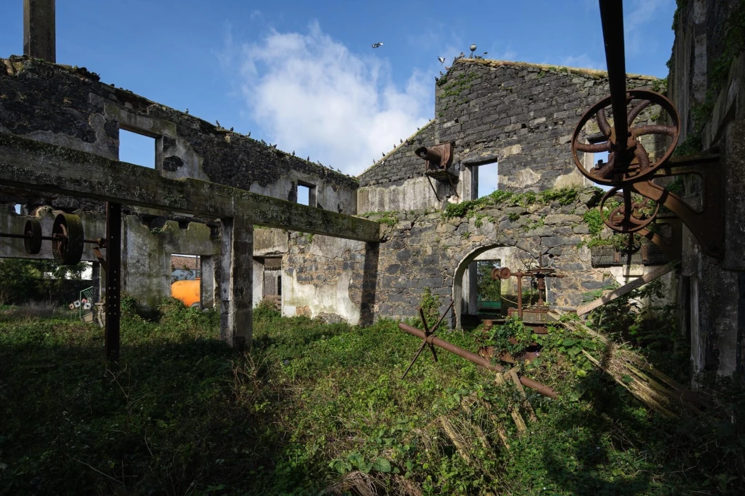 Prédio para Venda em Ribeira Seca Foto 40