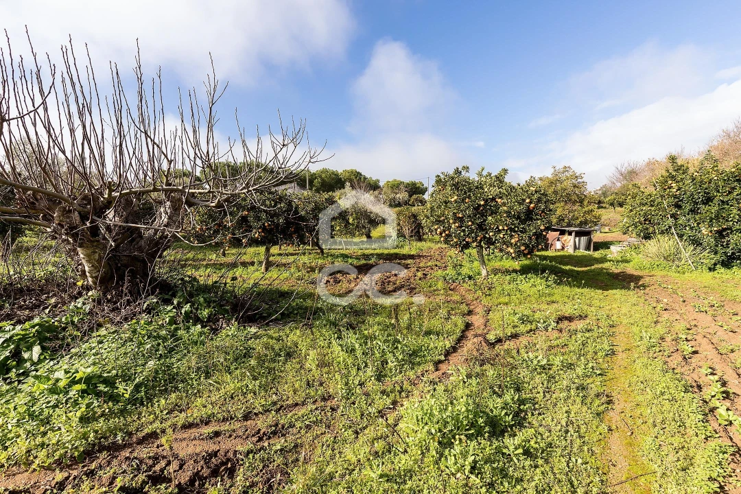 Quinta T5 para Venda em Torrão Foto 71