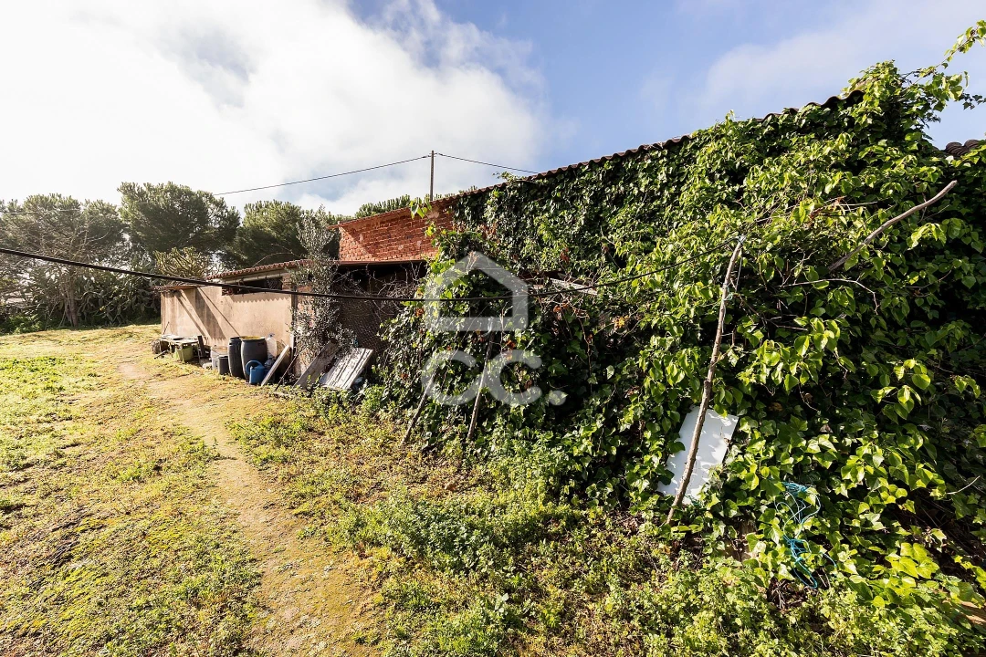 Quinta T5 para Venda em Torrão Foto 45