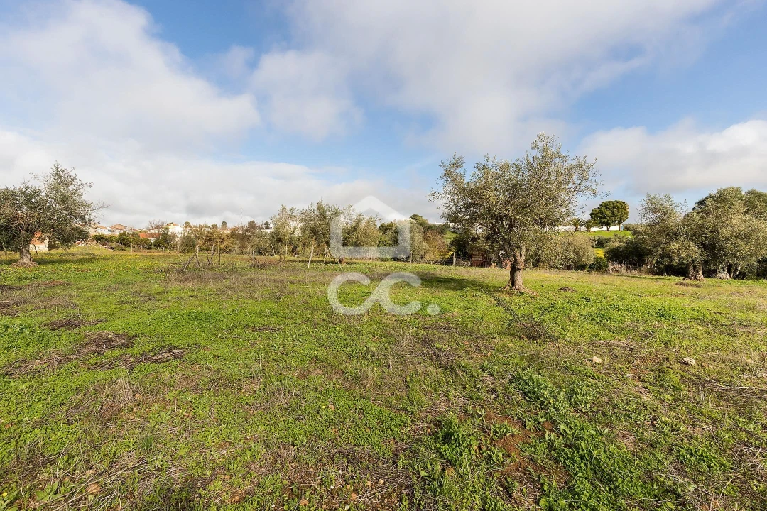 Quinta T5 para Venda em Torrão Foto 51