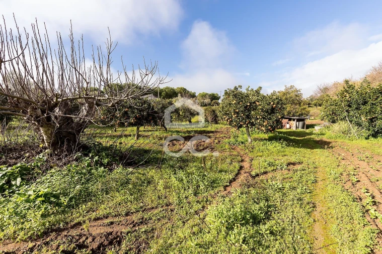 Quinta T5 para Venda em Torrão Foto 71